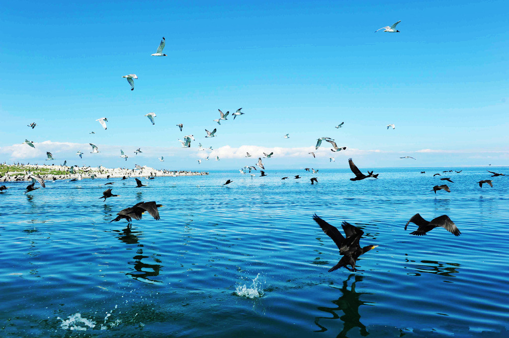 Qinghai Lake Ecoregion Holiday  5 days